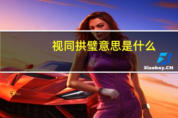 视同拱璧意思是什么
