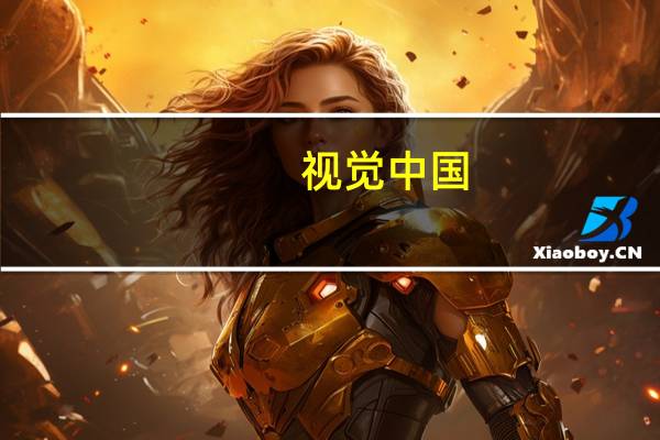 视觉中国：公司会基于开源的大模型结合公司的核心数据、业务场景打造自己的垂直模型