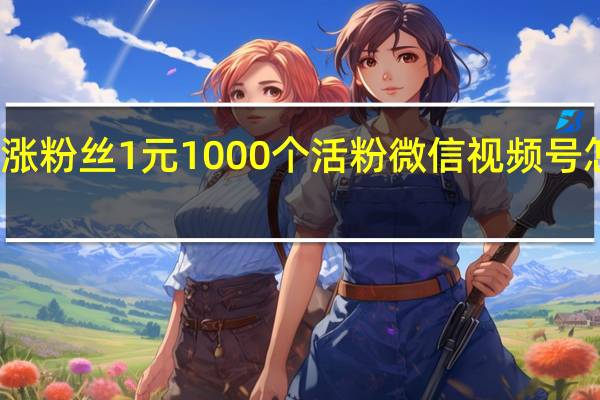 视频号涨粉丝1元1000个活粉 微信视频号怎么推广引流(视频号如何快速做到1万粉丝的方法论)