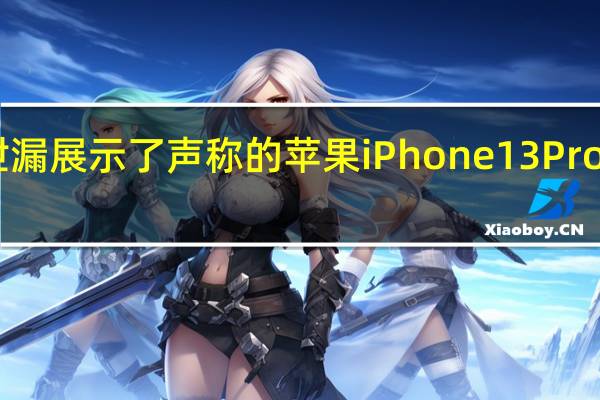 视频泄漏展示了声称的苹果iPhone13ProMax保护壳
