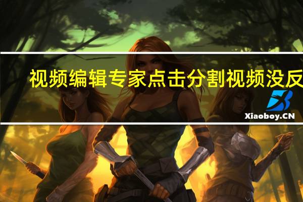 视频编辑专家点击分割视频没反应（视频编辑专家）