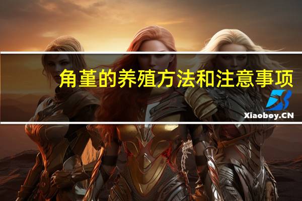 角堇的养殖方法和注意事项