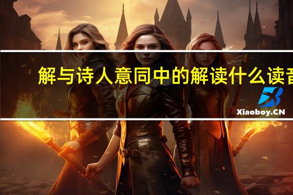 解与诗人意同中的解读什么读音