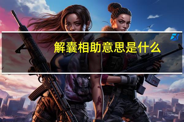 解囊相助意思是什么