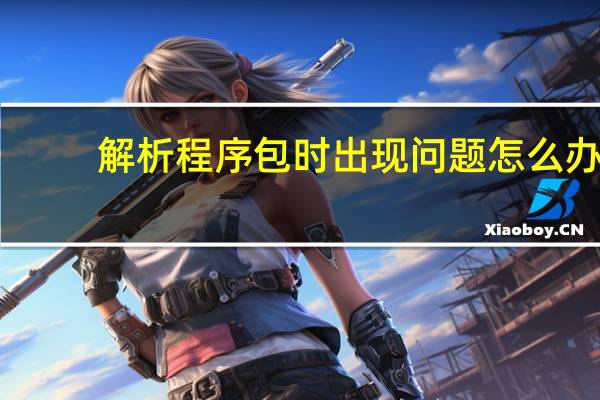 解析程序包时出现问题怎么办