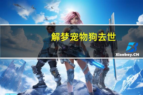 解梦宠物狗去世