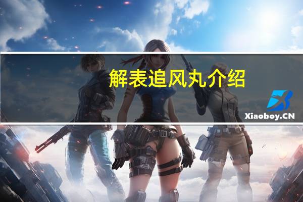 解表追风丸介绍