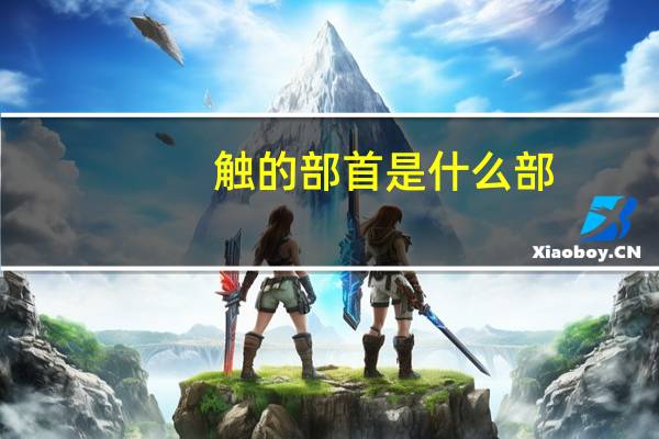 触的部首是什么部(触的部首)