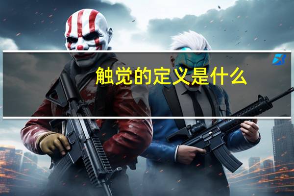 触觉的定义是什么
