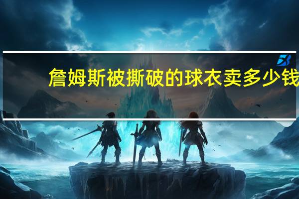 詹姆斯被撕破的球衣卖多少钱