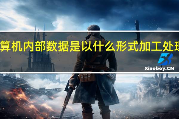 计算机内部数据是以什么形式加工处理和传送(计算机内部数据是以什么形式加工处理和传送的)