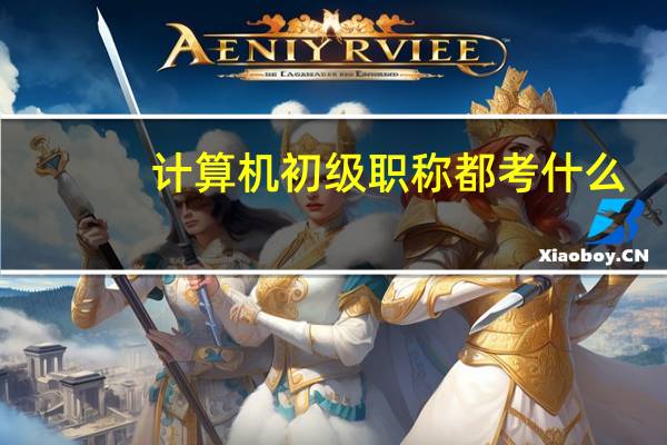 计算机初级职称都考什么
