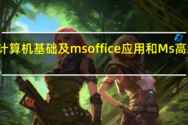 计算机基础及ms office应用和Ms高级应用