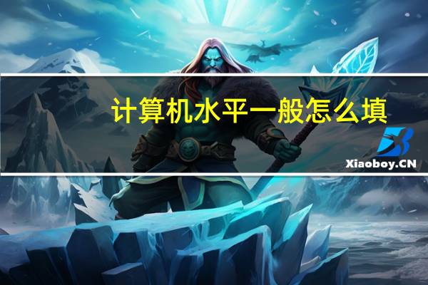 计算机水平一般怎么填