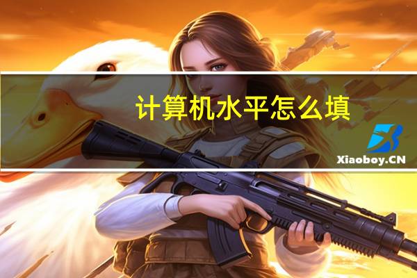 计算机水平怎么填