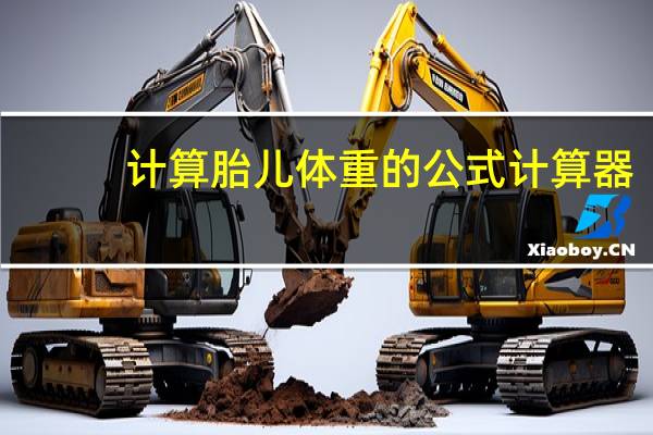 计算胎儿体重的公式计算器（计算胎儿体重的公式）