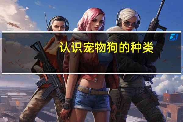 认识宠物狗的种类