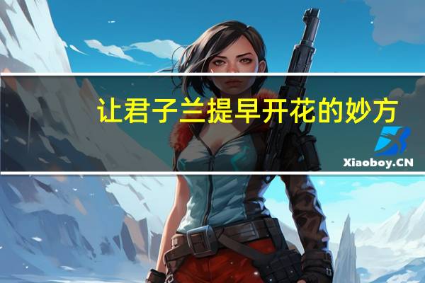 让君子兰提早开花的妙方