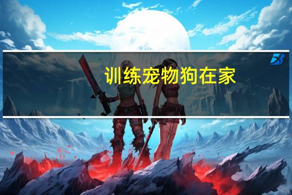 训练宠物狗在家