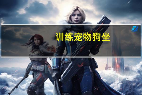 训练宠物狗坐