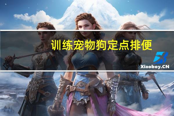 训练宠物狗定点排便