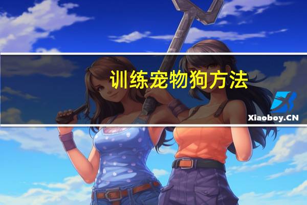 训练宠物狗方法