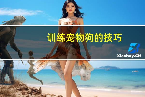 训练宠物狗的技巧
