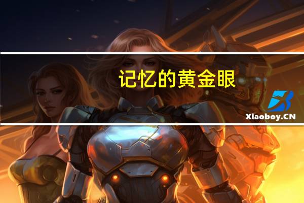 记忆的黄金眼