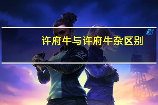 许府牛与许府牛杂区别