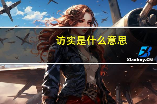 访实是什么意思