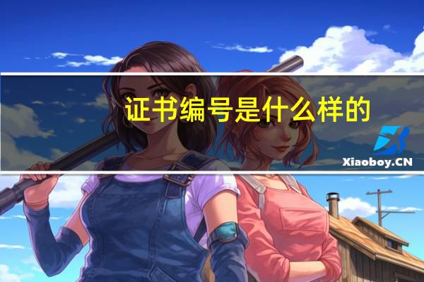 证书编号是什么样的（证书编号是什么）