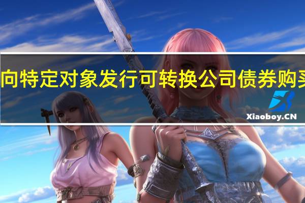 证监会就《上市公司向特定对象发行可转换公司债券购买资产规则（征求意见稿）》公开征求意见