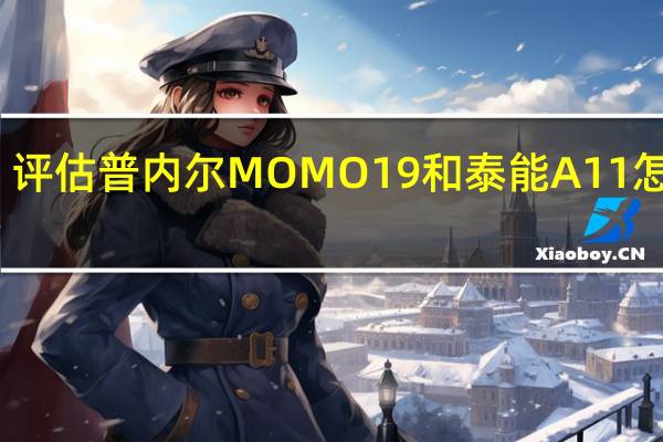 评估普内尔MOMO19和泰能A11怎么样？