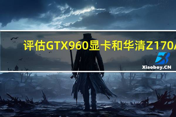 评估GTX960显卡和华清Z170A-X1/3.1怎么样?