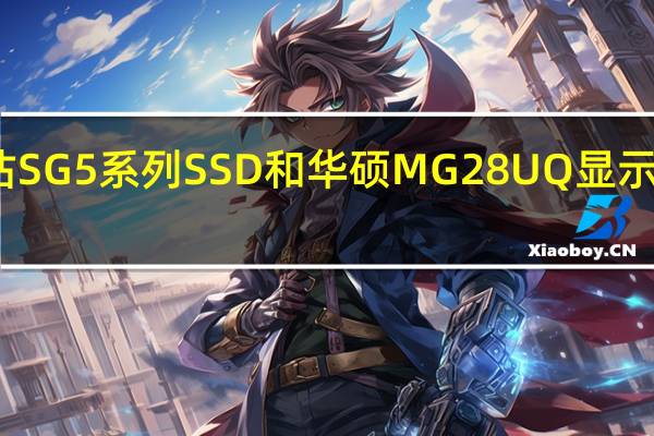 评估SG5系列SSD和华硕MG28UQ显示器怎么样？