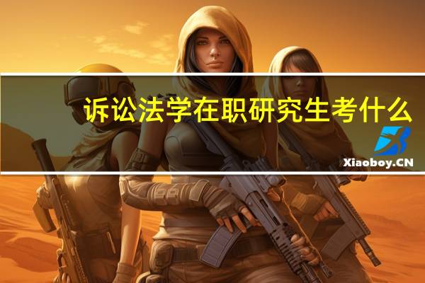 诉讼法学在职研究生考什么