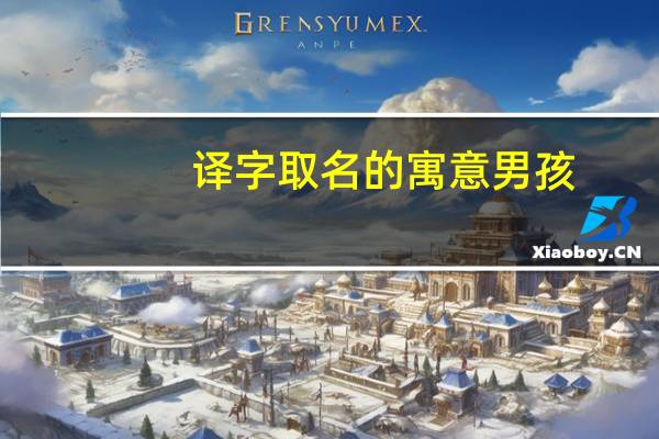 译字取名的寓意男孩