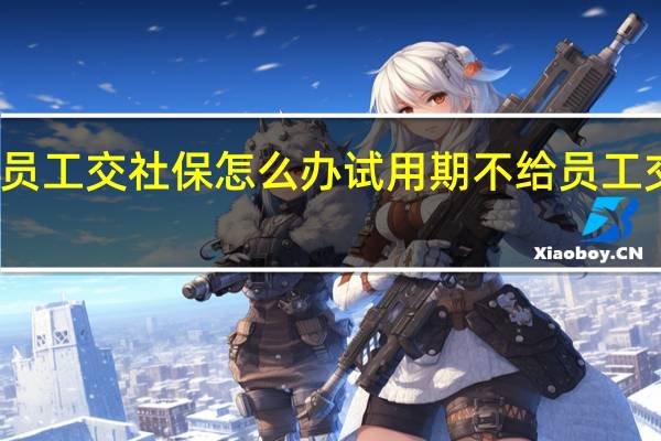 试用期不给员工交社保怎么办　试用期不给员工交社保有哪些后果