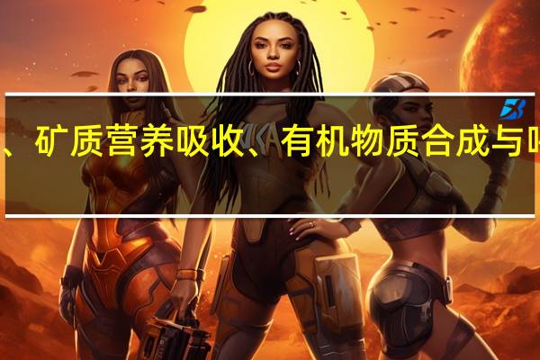 试述水分、矿质营养吸收、有机物质合成与呼吸作用的关系。