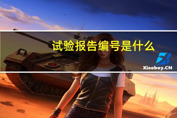 试验报告编号是什么