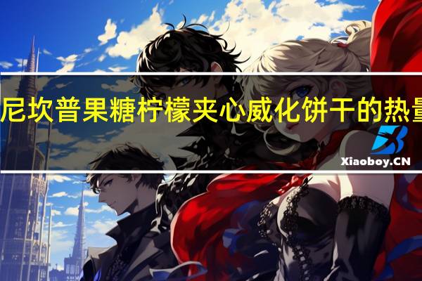 诗尼坎普 果糖柠檬夹心威化饼干的热量是多少