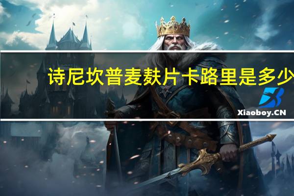 诗尼坎普 麦麸片卡路里是多少