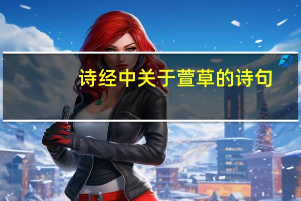 诗经中关于萱草的诗句