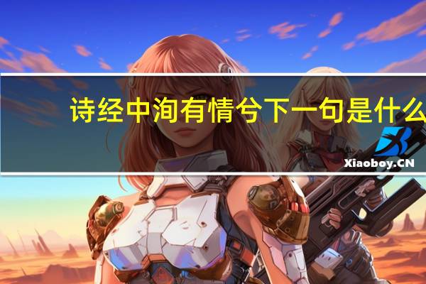 诗经中洵有情兮下一句是什么