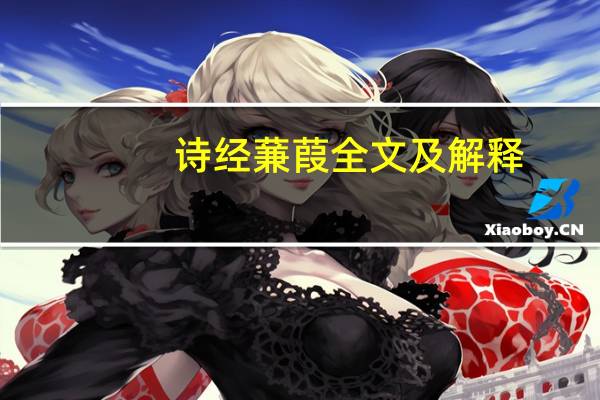 诗经蒹葭全文及解释