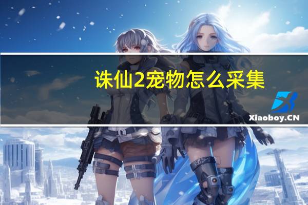 诛仙2宠物怎么采集