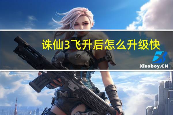 诛仙3飞升后怎么升级快