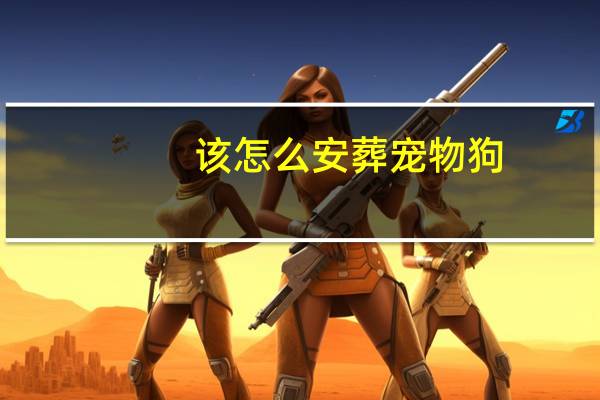 该怎么安葬宠物狗
