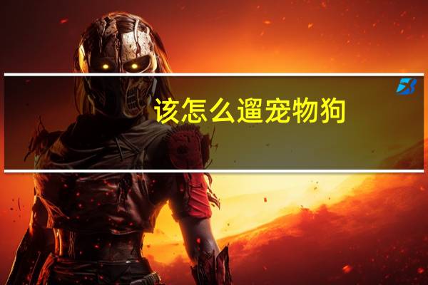 该怎么遛宠物狗
