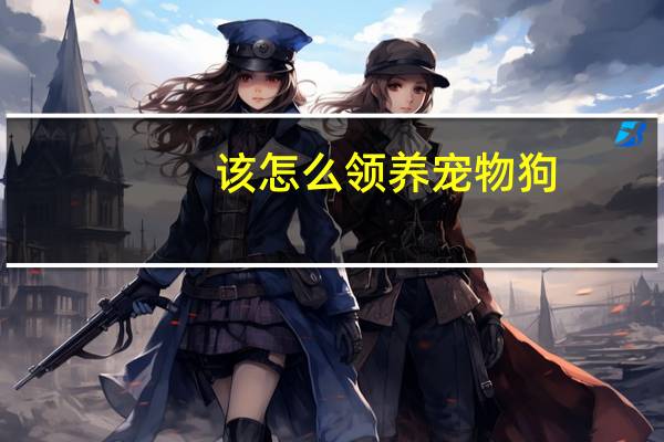 该怎么领养宠物狗